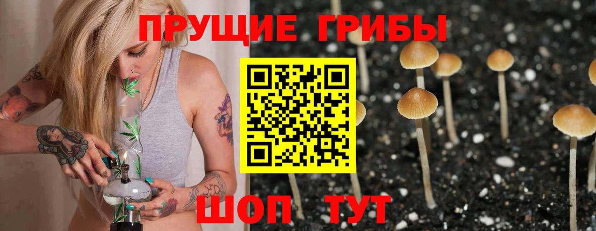 Псилоцибиновые грибы MAGIC MUSHROOMS  Вход с VPN  закладки  Белгород 